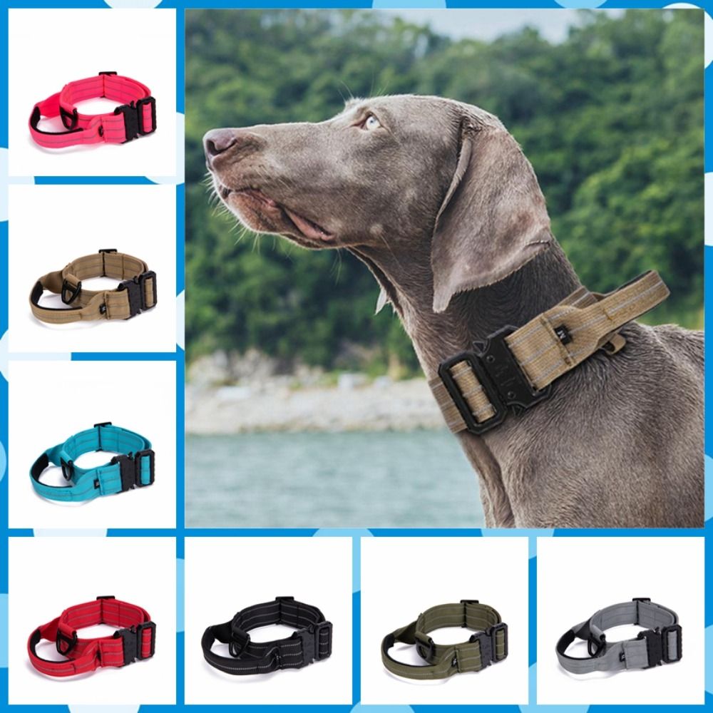 LiMiVi™ Reflective Adventure Collar