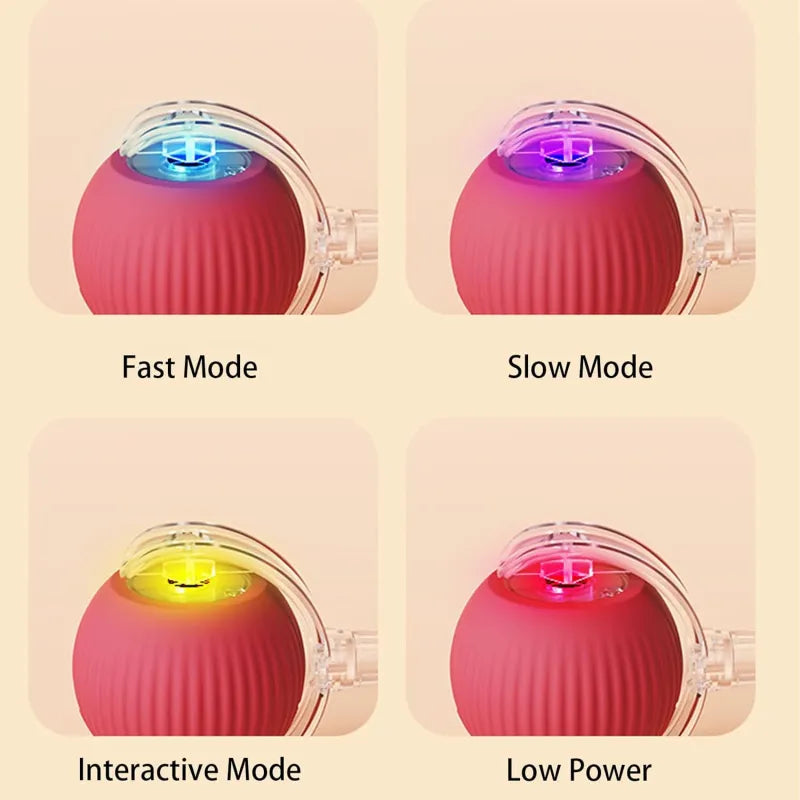 LiMiVi™ Interactive Smart Chase Ball for Dogs & Cats