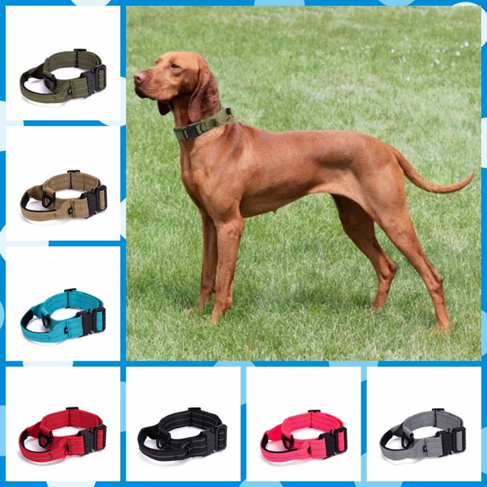 LiMiVi™ Reflective Adventure Collar