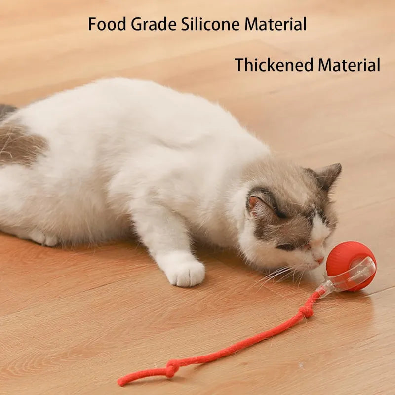 LiMiVi™ Interactive Smart Chase Ball for Dogs & Cats