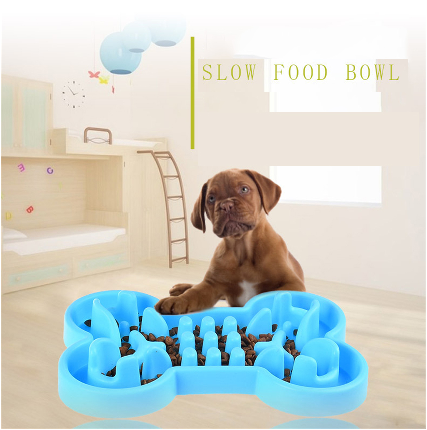 LiMiVi™ Slow Feed Bowl
