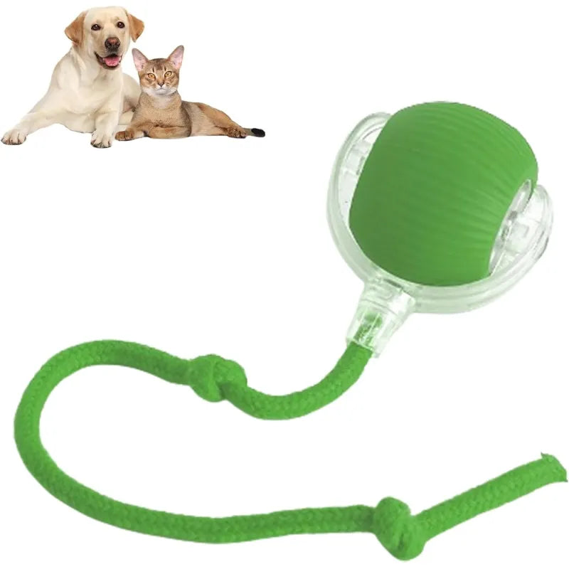 LiMiVi™ Interactive Smart Chase Ball for Dogs & Cats