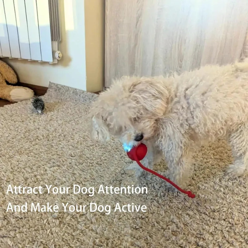 LiMiVi™ Interactive Smart Chase Ball for Dogs & Cats