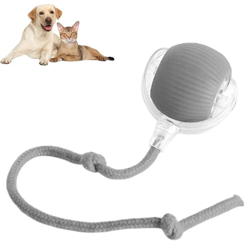 LiMiVi™ Interactive Smart Chase Ball for Dogs & Cats