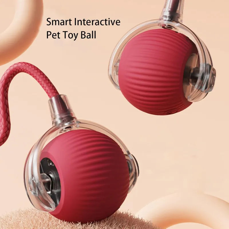 LiMiVi™ Interactive Smart Chase Ball for Dogs & Cats