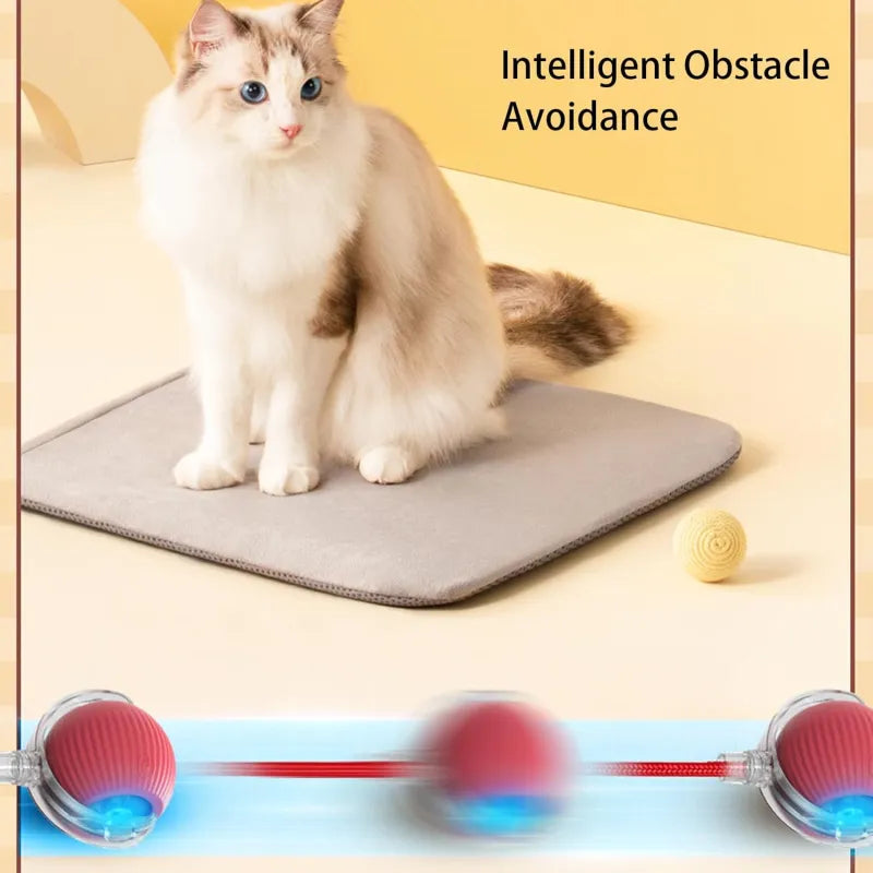 LiMiVi™ Interactive Smart Chase Ball for Dogs & Cats