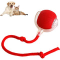 LiMiVi™ Interactive Smart Chase Ball for Dogs & Cats